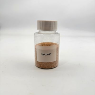 Nie toksyczne Środowiskowo przyjazne Oczyszczanie wody Biobakterie Wysokie stężenie dla redukcji zanieczyszczeń organicznych
