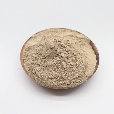 Biochemiczne oczyszczanie wody za pomocą biobakterii i certyfikacja ISO 14001 - zwycięska kombinacja